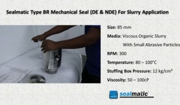 Sealmatic Type BR Mechanical Seal (DE & NDE) For Slurry Application